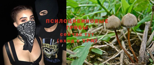эйфоретик Елабуга