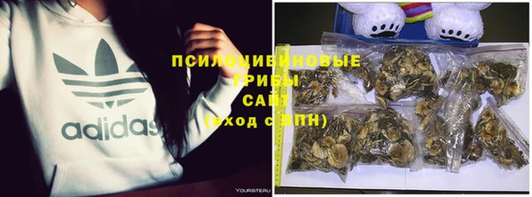 бутират Ельня